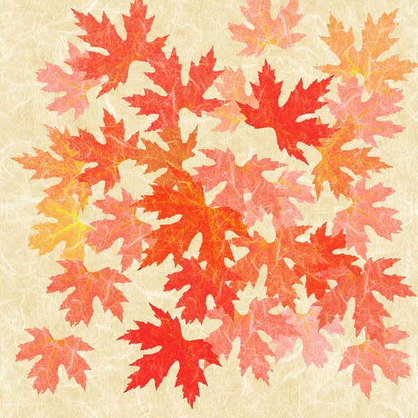 Autumnal leaves collage — Stock Photo, Image