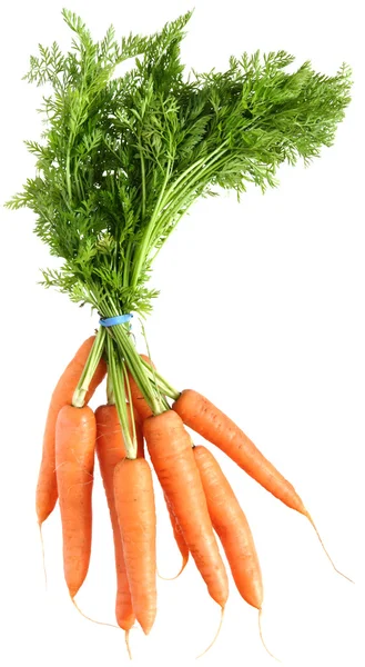 Bunch of carrots with tails, isolated — Stock Photo, Image