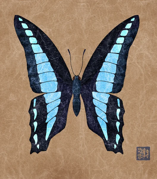 Blauer Dreieck-Schmetterling — Stockfoto