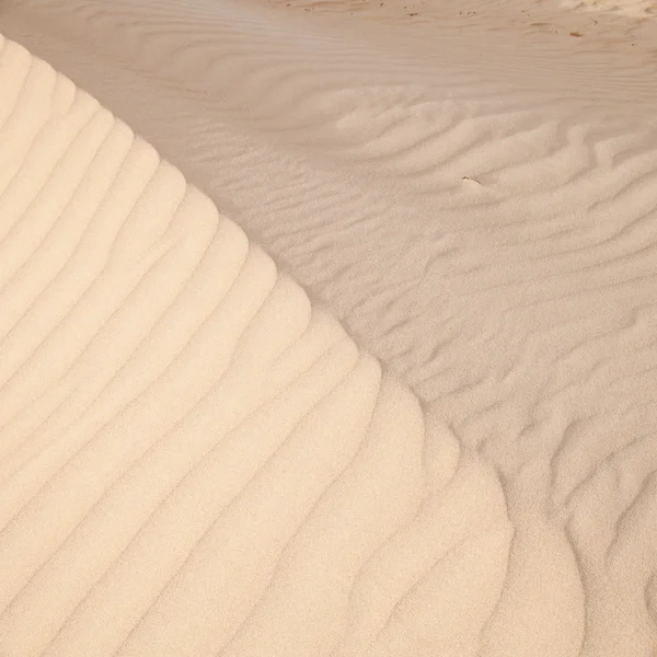 모래 표면 — 스톡 사진