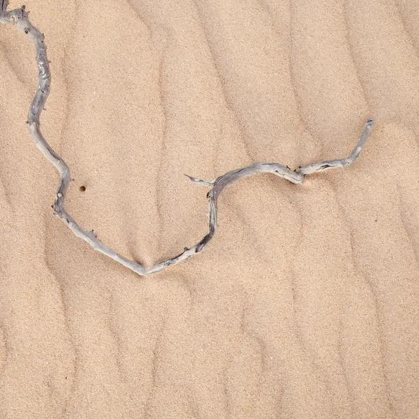 stock image Sand surface