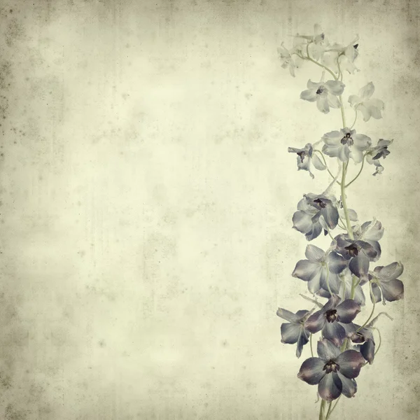 デルフィ ニウムの花の穂状花序を持つテクスチャの古い紙の背景 — ストック写真