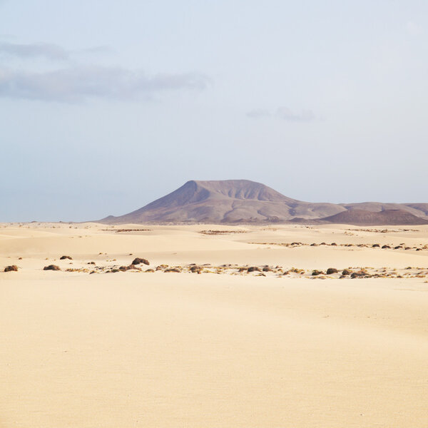 Монтана-Роха
