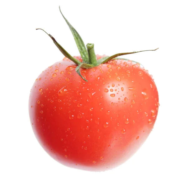 Jeden na białym tle, dojrzały pomidor, krople wody — Zdjęcie stockowe