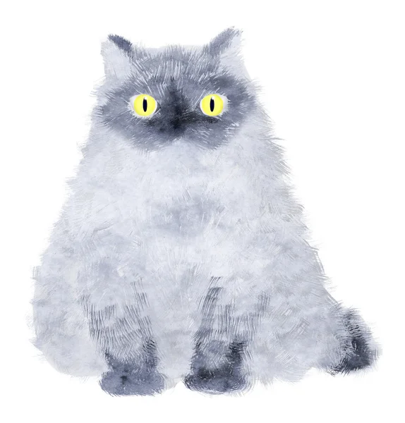 Сидящий красивый - синий кот на белом фоне — стоковое фото