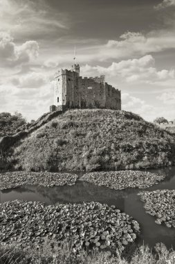 Roma Kalesi, cardiff castle