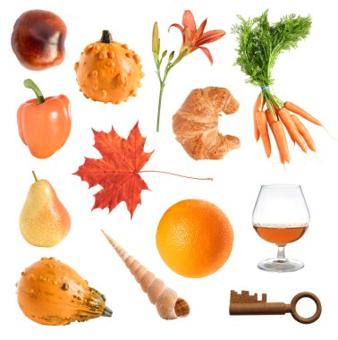 Orange objects collection clipart