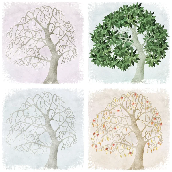 Fyra säsonger av äppelträd — Stockfoto