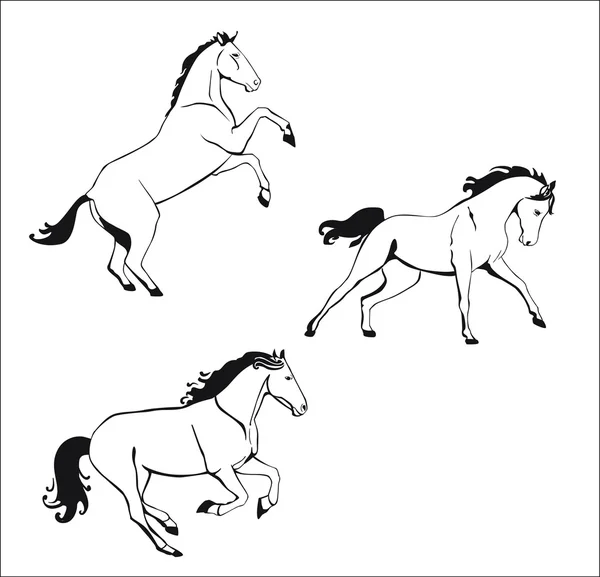 Pferde überspringen — Stockvektor