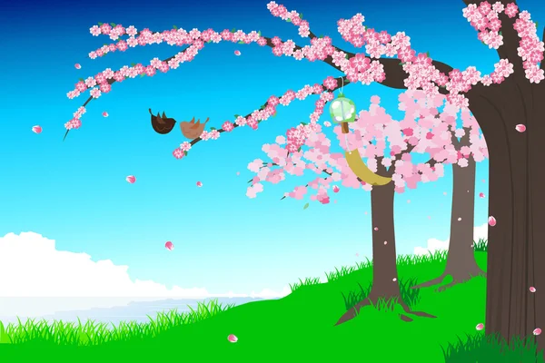 Illustrazione fiori di ciliegio — Vettoriale Stock