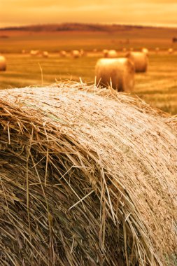 Haybale Sunset clipart