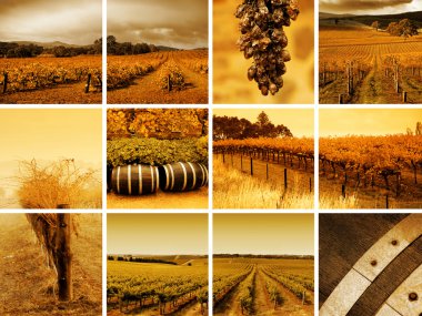 Wine Montage clipart