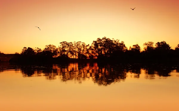 Ondulazione del tramonto del fiume — Foto Stock