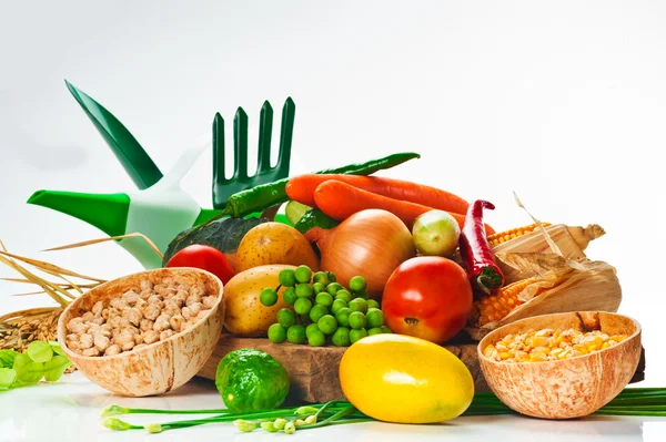 Овощи - капуста, помидор, огурец, лук, салат и так далее — стоковое фото