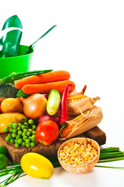 Овощи - капуста, помидор, огурец, лук, салат и так далее — стоковое фото
