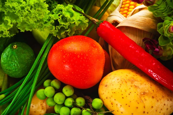 Sayuran - kubis, tomat, mentimun, bawang, selada dan sebagainya — Stok Foto