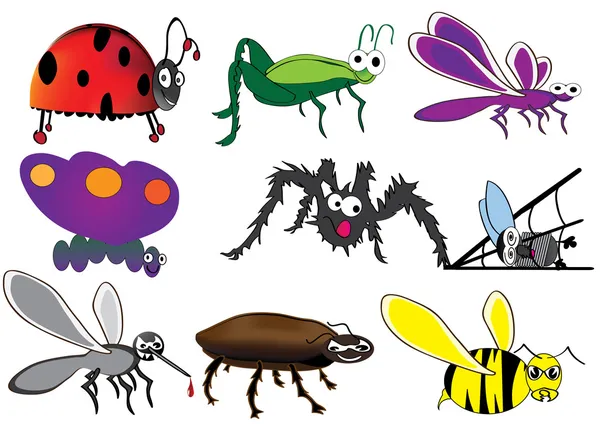 Insetti e scarafaggi — Vettoriale Stock