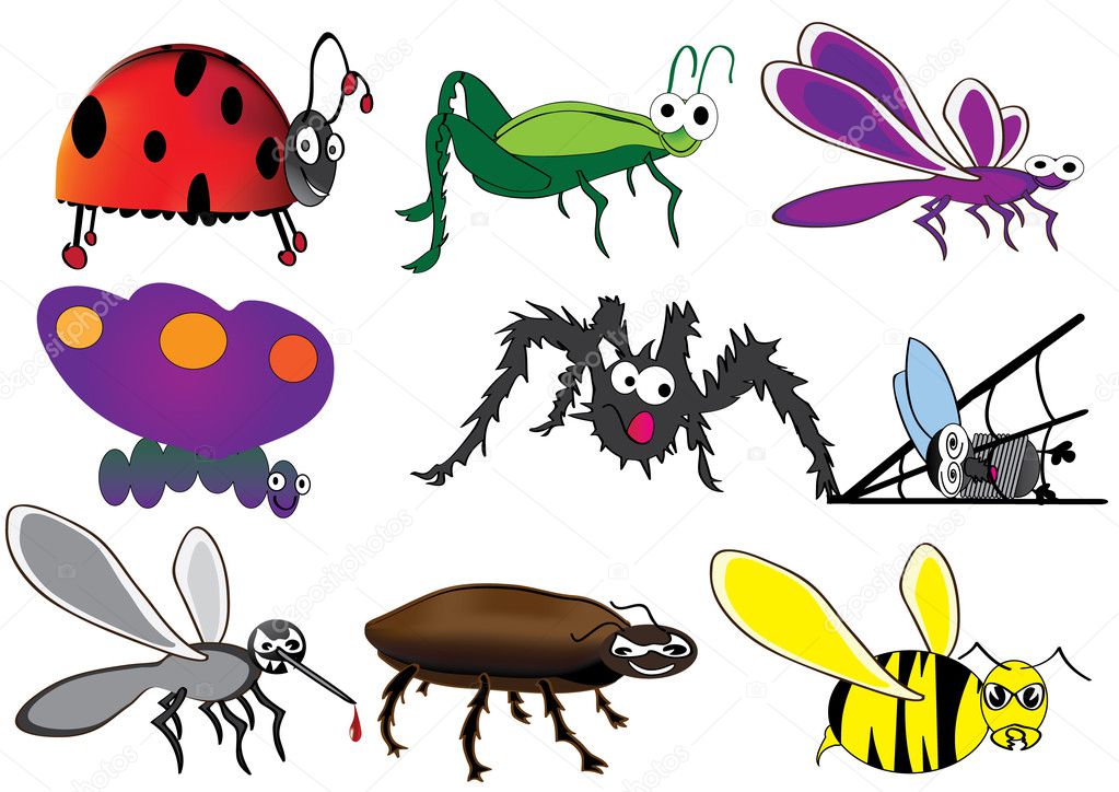 Bugs and beetles