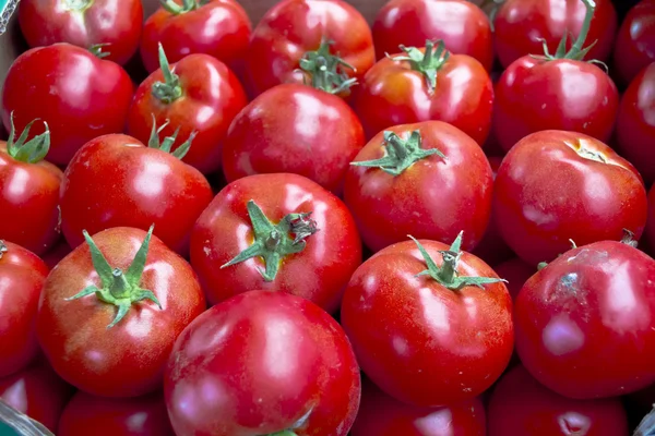 stock image A background of fresh tomatoes for sale at a green market