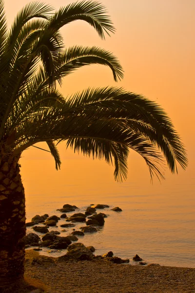 Güzel bir plaj gün batımı manzarası — Stok fotoğraf