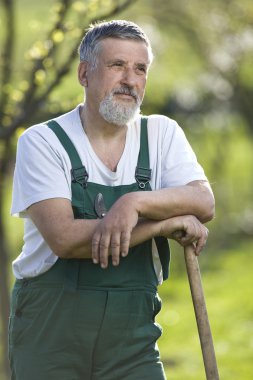 bahçede Bahçe üst düzey bir adam portresi