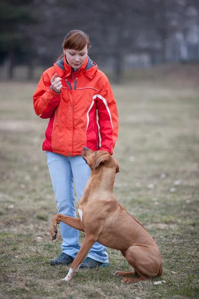 Master och hennes hund lydig (rhodesian ridgeback) — Stockfoto