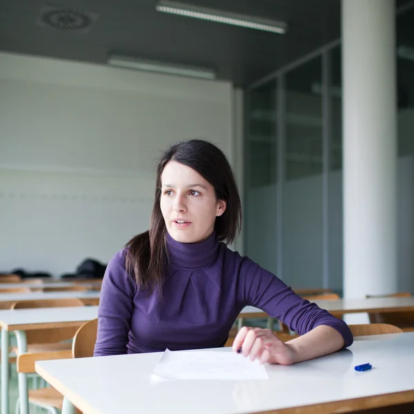 Retrato de una bonita estudiante universitaria que trabaja en un aula — Foto de Stock