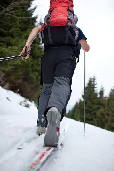 年轻男子越野滑雪上白雪皑皑的森林步道 (颜色到 — 图库照片