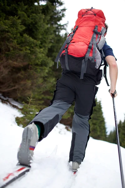Jovem esqui cross-country em uma trilha de floresta nevada (cor para — Fotografia de Stock