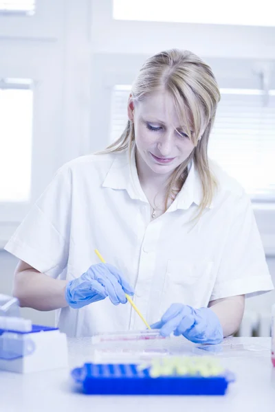 Porträtt av en kvinnlig forskare som forskar i ett labb (färg t — Stockfoto