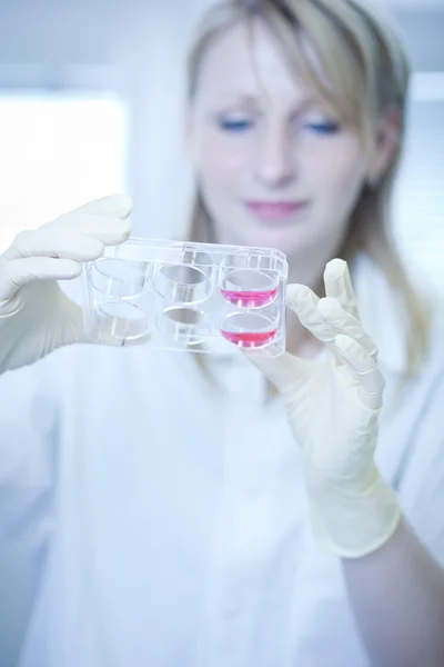 Portrait of a female researcher doing research in a lab (color t — Stock Photo, Image