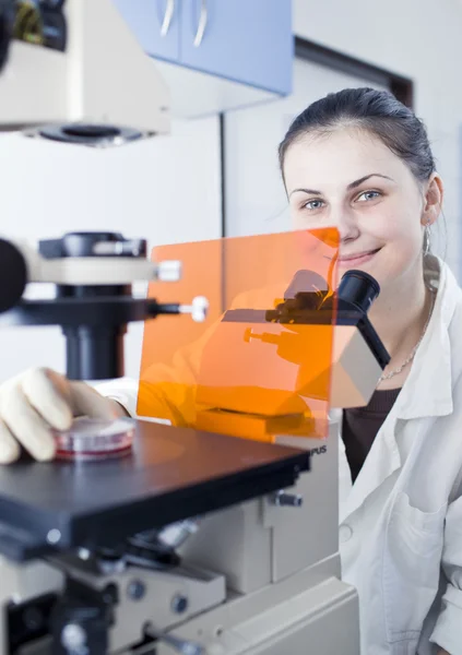 在一个实验室 (颜色 t 做研究的女性研究员的肖像 — 图库照片