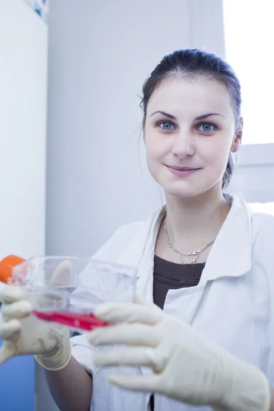 Πορτρέτο του γυναίκα ερευνητής κάνει έρευνα σε ένα εργαστήριο (χρώμα t — Φωτογραφία Αρχείου