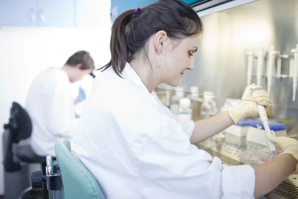 Retrato de una investigadora investigando en un laboratorio (color t —  Fotos de Stock