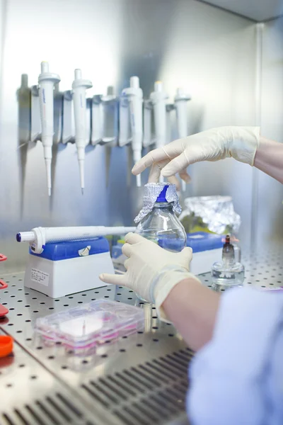 Mãos de uma pesquisadora fazendo pesquisa em um laboratório (tom de cor — Fotografia de Stock