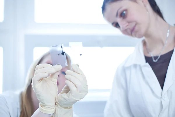 Две женщины-исследователя проверяют результаты исследований в биохимике — стоковое фото