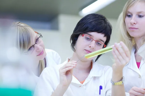 Drei Forscherinnen forschen in einem Chemielabor — Stockfoto