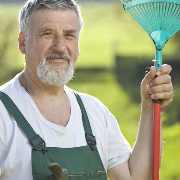 Portrét starší muže zahradnictví v jeho zahradě — Stock fotografie