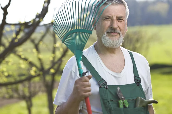 Retrato de um homem sênior jardinagem em seu jardim — Fotografia de Stock