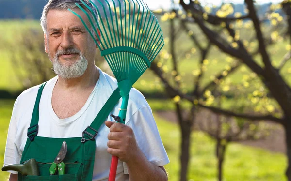 Porträtt av en äldre man trädgårdsskötsel i sin trädgård (färgen tonas im — Stockfoto
