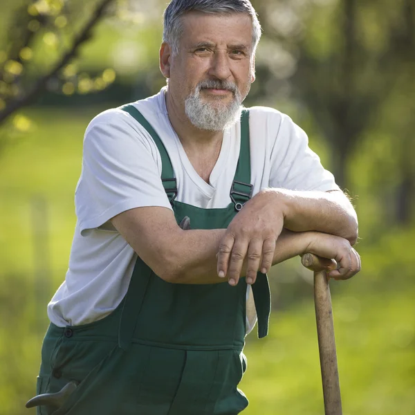 Porträt eines älteren Mannes, der in seinem Garten gärtnert (Farbe getönt im — Stockfoto