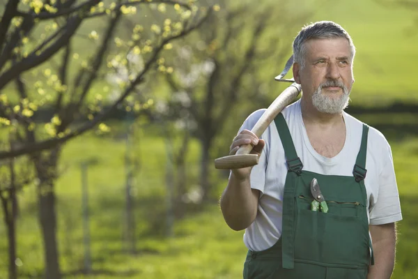 Портрет літнього чоловіка садівництва в своєму саду (колір тонований im — стокове фото