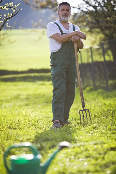 Portrét starší muže zahradnictví v jeho zahradě (barva tónovaný im — Stock fotografie