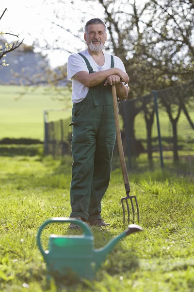 Portret van een senior man in zijn tuin tuinieren — Stockfoto