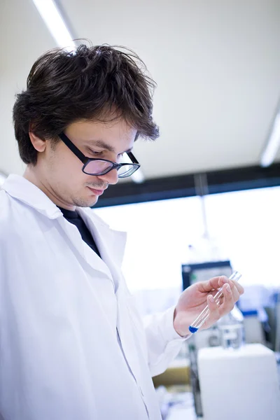 Young male researcher carrying out scientific research in a chem — Stock Photo, Image