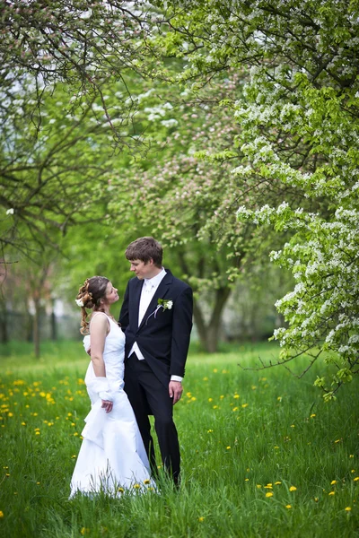 草的问号若い結婚式のカップル - 新鮮な水の新郎と新婦のポーズを屋内 — ストック写真