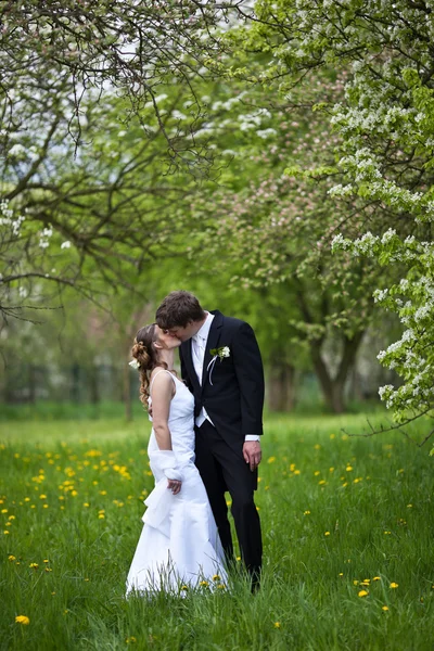 Junges Hochzeitspaar - frisch vermählter Bräutigam und Braut posieren outdoo — Stockfoto