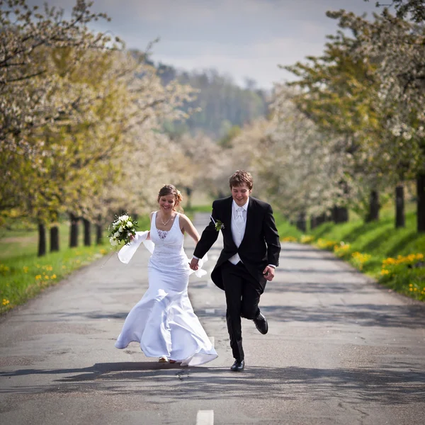 Casal de casamento jovem - noivo recém-casado e noiva posando outdoo — Fotografia de Stock
