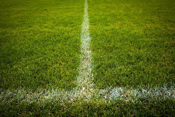 Sportovní důvody koncept - fotbal/fotbalové hřiště (barva tónovaný obrázek — Stock fotografie