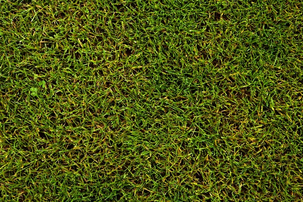 スポーツ ガーデン コンセプト - サッカー/サッカーのピッチ (トーンのカラー画像 — ストック写真